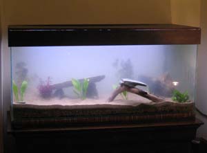 Aquarium