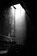 Petite ceinture (suite), photo 11