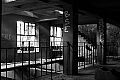 Petite ceinture (suite), photo 12