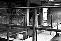 Petite ceinture (suite), photo 13