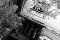 Petite ceinture (suite), photo 18