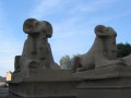 en Egypte, photo 134