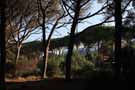 Une semaine en Italie, photo 12