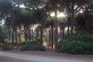 Une semaine en Italie, photo 22