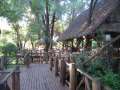Au Kenya, photo 10