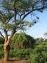 Au Kenya, photo 14