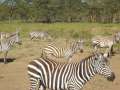 Au Kenya, photo 29