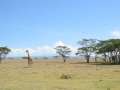 Au Kenya, photo 39