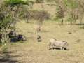 Au Kenya, photo 44