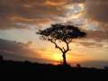 Au Kenya, photo 57