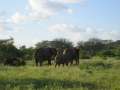 Au Kenya, photo 9