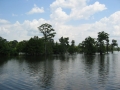 Louisiane, photo 1