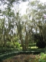 Louisiane, photo 35