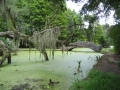 Louisiane, photo 8
