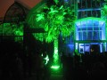 Fête des Lumières, photo 13
