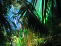 Fête des Lumières, photo 15