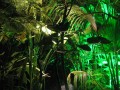 Fête des Lumières, photo 16
