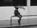 Paris sous la pluie, photo 10