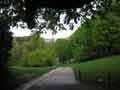 Paris sous la pluie, photo 6