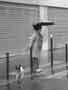 Paris sous la pluie, photo 9