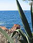 Saint Raphael, photo 1