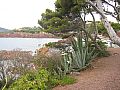 Saint Raphael, photo 14
